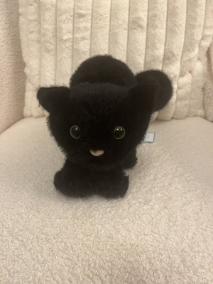 Brandneu mit Etikett Jellycat ''Mein Name ist Spookipaws Katze'' SELTEN XAN3BC schwarz grüne Augen Plüsch