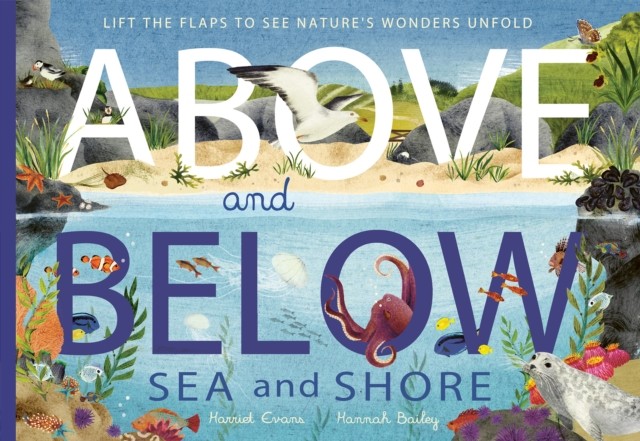 Above and Below: Sea and Shore by Hannah Bailey (Paperback Book)