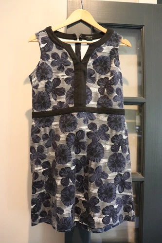 Ann Taylor Navy Dress Size 10P Petite Knee Length