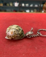 Seashell Keychain with Metal Casting   Handmade Ocean Shell Souvenir Gift  Naut