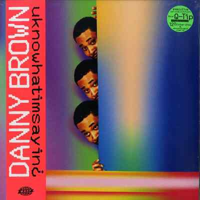Danny Brown / UKNOWHATIMSAYIN (LP + MP3) / Warp Records / WARPLP307 / 12 Inch