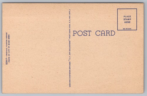 Postcard: Greyhound Racing, FL, City Of Miami News, Curt Teich, 1950, Unposted - Picture 2 of 2