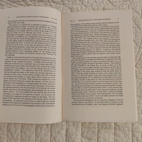 Rare 1953 Fly Metamorphosis Entomology Smithsonian Publication 4133 Volume 122 - 第 23/24 張圖片