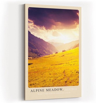 Sinus Art Paul Sinus Kunstdruck Alpine Meadow   goldene Bergwiese in