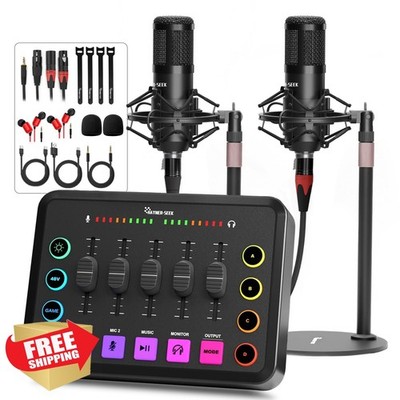 Hayner-Seek Podcast Mic Audio Interface Bundle Black HS-H1-2