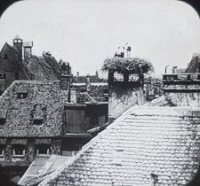 Stork's Nest, Strasbourg, France, T.H. McAllister Magic Lantern Glass Slide