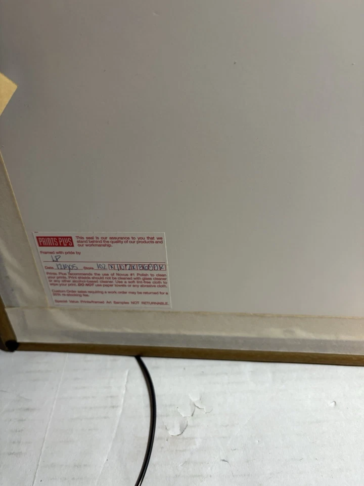 Framed Nova Totius Terrarum Orbis Geographica ac Hydrographica Tabula 26 X 35 - Image 4 of 4