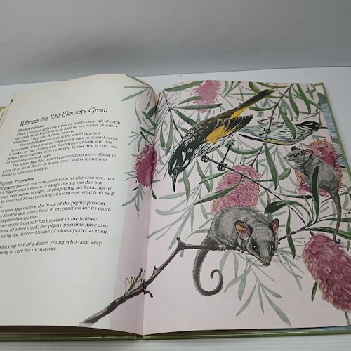 Australia's Amazing Birds & Animals. H/C. illustrated. David Harris - Picture 8 of 13