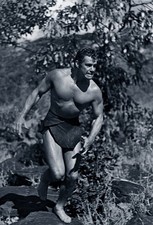 Attore Gordon Scott nel suo ruolo di personaggio immaginario Tarzan 1955Foto8,5x11