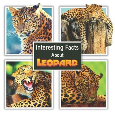 Interesting Facts About Leopard James K. Mahi Paperback Amazon Di