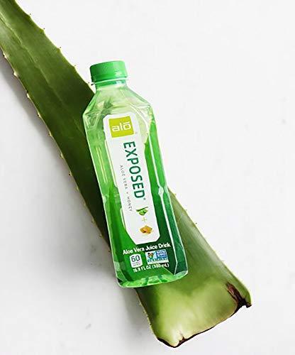 ALO Exposed Aloe Vera Juice Drink, Aloe Vera + Honey, (Pack of 12), 16.9  Ounce | eBay