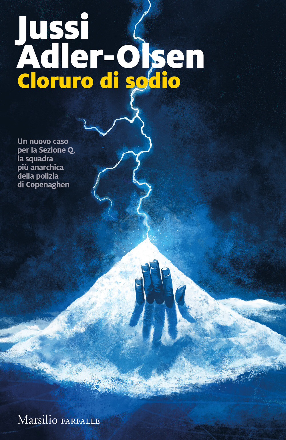 Cloruro di sodio. I casi della sezione Q - Adler-Olsen Jussi