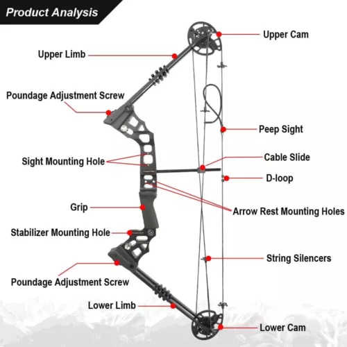 20-70lbs Bowfishing Set Adjustable Archery Compound Bow Fishing Hunt 320fps - Picture 10 of 28