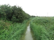 Photo 6x4 Holderness Drain Routh Looking along the narrow drainage channe c2017