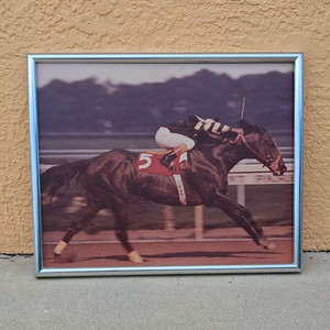 Seattle Slew Marlboro Cup 1978 Angel Cordero. Color Framed Photo