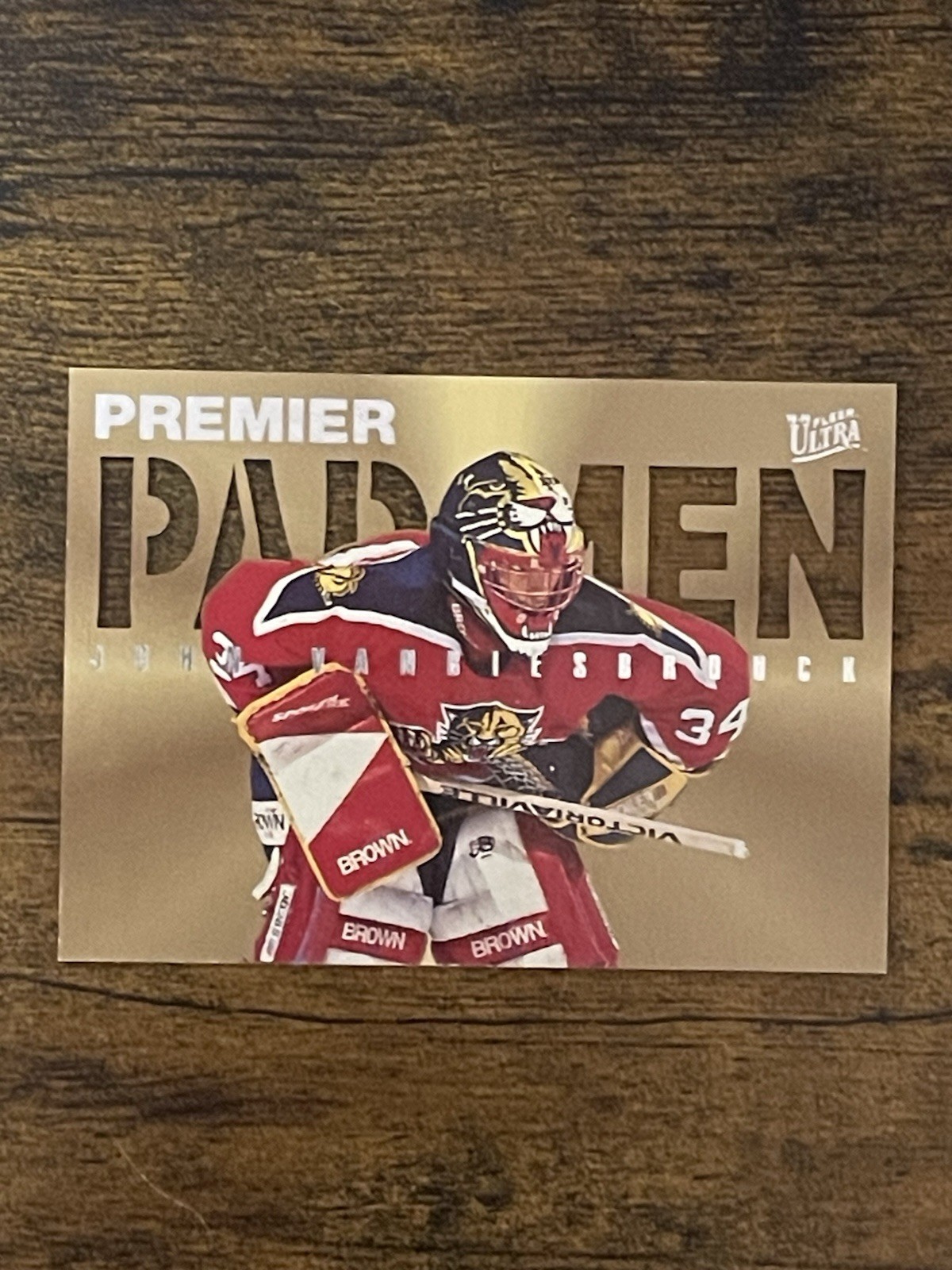 John Vanbiesbrouck 95-96 Fleer Ultra Premier Pad Men