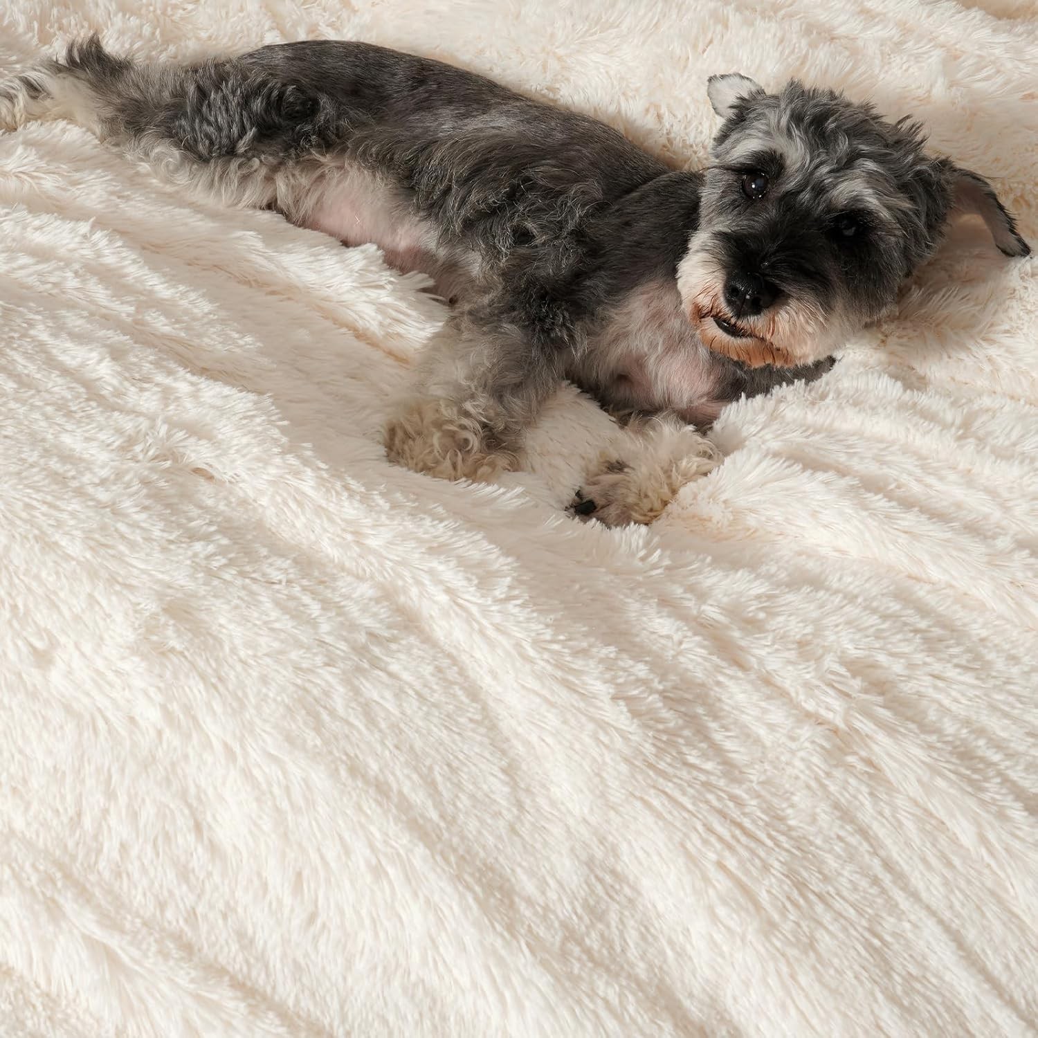 PHF Luxury Fuzzy Faux Fur Throw Blanket, Soft Shaggy Plush Comfy Blanket, Warm T