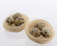 Nest Deko Osternest Mit Ostereier Wachteleier Sisalnest Dekonest Ostereier Set