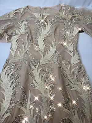 Adrianna Papell Embroidered A Line Gown Sz 4 Champagne Sequins Lined Sheer  Spark | eBay