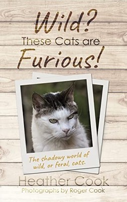 Wild? These Cats are Furious!, Heather Cook