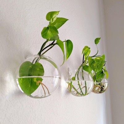 Pack of 6 Glass Planters Wall Hanging Planters Round Glass Plant Pots Hanging 12