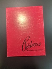 Porteous Mitchell Braun Seamless Mesh Vintage Stockings - Spicy Beige 10 3 Pack