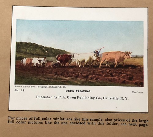 Art Print Studies for Elementary School 1930's Oxen Plowing Rosa Bonheur Vintage