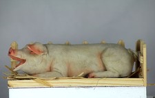 25cm PIG IN FREE!! STY - WOOD STY - FARM SET - PORKER - LARGE WHITE MODEL