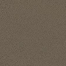 GM Medium Neutral Leather Dye
