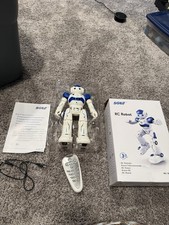 SGILE RC Robot Toy for Kids, Gesture Sensing, Programmable, Rechargeable