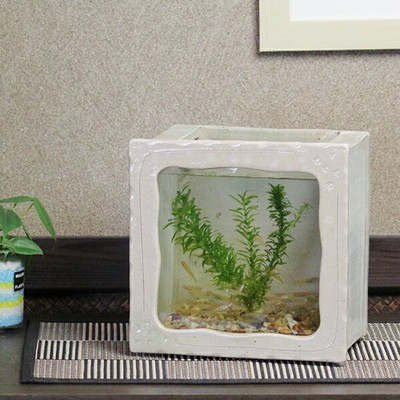 Shigaraki Pottery Ceramic Aquarium   Elegant Fish Bowl with Glass, Interior Deco