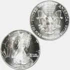 1991 American Eagle 1oz Silver Mint Brilliant Uncirculated in plastic sleeve