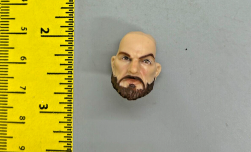 Head Beard Custom fodder Figure GI Joe 6" Cobra Classified Shipwreck 70 - 第 1/2 張圖片