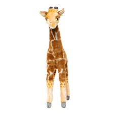 BH7810 HANSA Giraffe 50