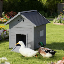 Wooden Duck Coop w/ Opening Roof  Doors, Light Gray, 36"H, Assembly Required