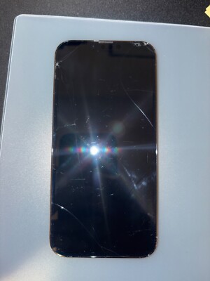 Apple iPhone 13 Pro Max - 128 GB - Gray (Unlocked)