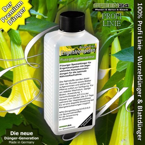 Brugmansia, Datura (Angelo trombe) di fertilizzanti liquidi HighTech NPK, (l8A)