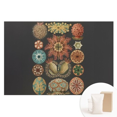 Wall Mural Easy Install Bedroom Decor Abstract Marine Forms In A Classic Style