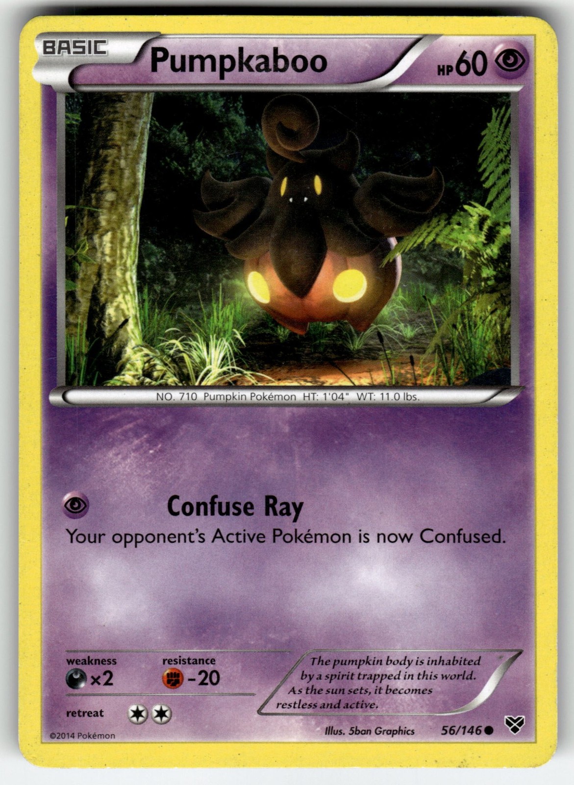 Pumpkaboo 56/146 Common XY Base Set Pokemon EN Moderately Played MP