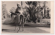 Original 1930s Egyptian man on donkey back, RPPC