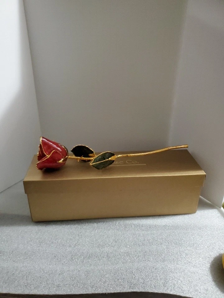 25+ Forever Rose for sale | Updated Oct 2026