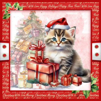 Weihnachtskarte - Katzen