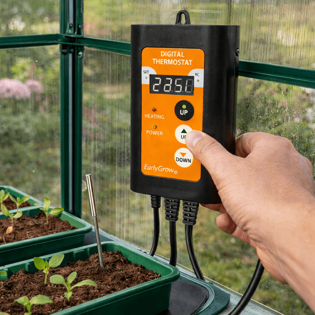 Digital Thermostat Temperature Controller for Propogation