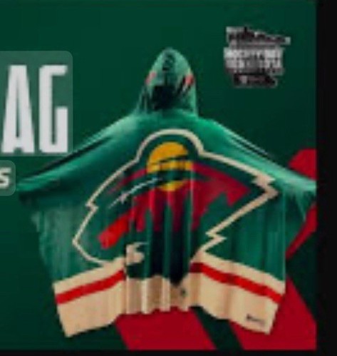 Minnesota Wild Hoodie Flagge (SGA 25.01.2025) - Bild 1 von 1