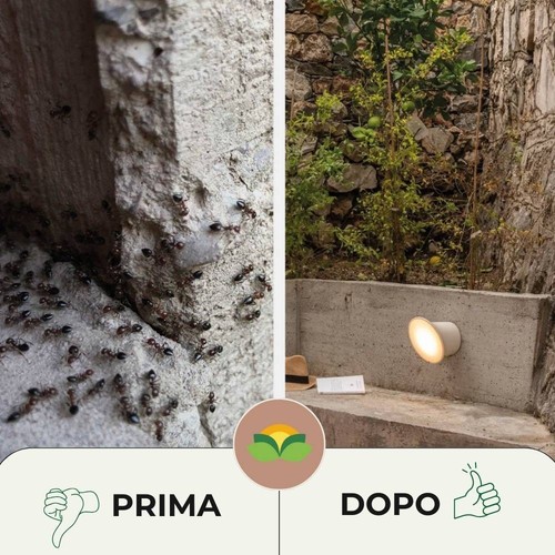 Esca Anti Formiche Universale Veleno Insetticida Micro Granulare Orto Casa 750 g - Foto 5 di 10