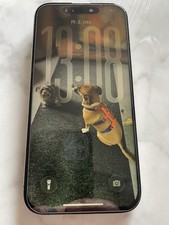 Apple iPhone 15 Pro Titan Natur ohne Simlock Achtung Wird Als Defekt Verkauft !