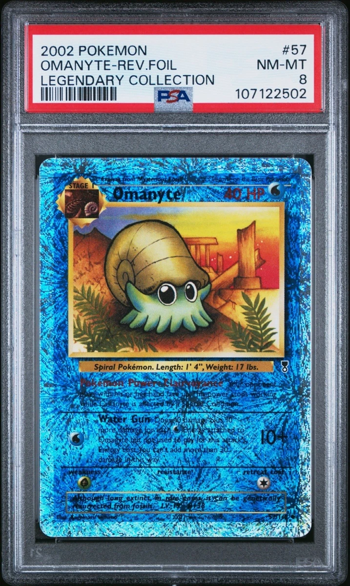 Omanyte