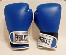 Everlast Blue Pro Style Boxing  MMA Training Gloves 12 oz 