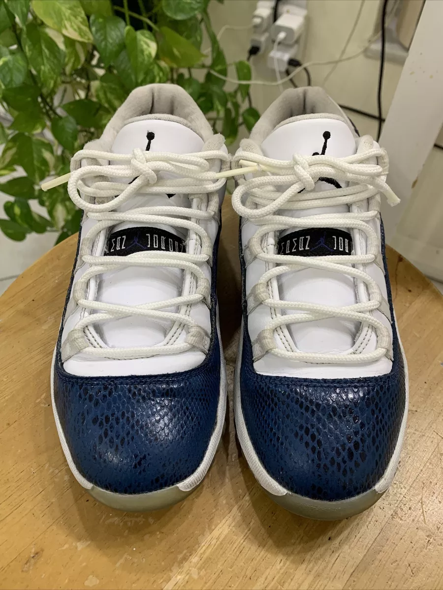 Jordan 11 hotsell snakeskin blue