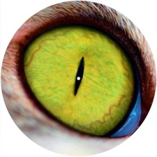 Slipmat Slip Mat Pad Felt for any 12" Turntable LP DJ Record Player CAT EYE